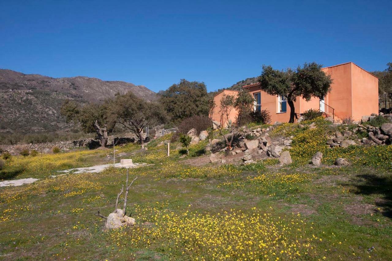 Finca El Rabilargo Arroyomolinos de Montánchez Exterior photo