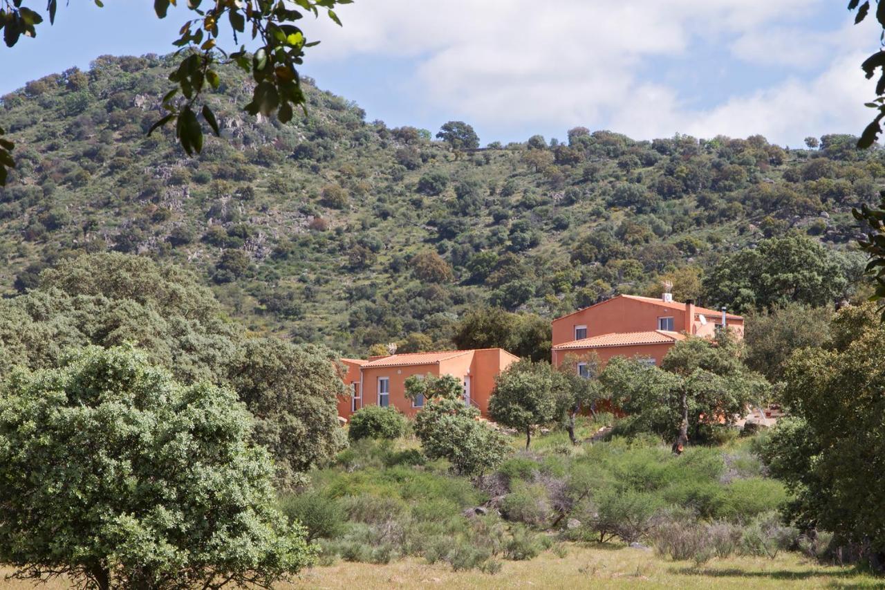 Finca El Rabilargo Arroyomolinos de Montánchez Room photo